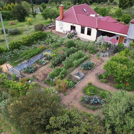 Lilydale Cherry Top Farmstay - Boutique Eco Village מראה חיצוני תמונה