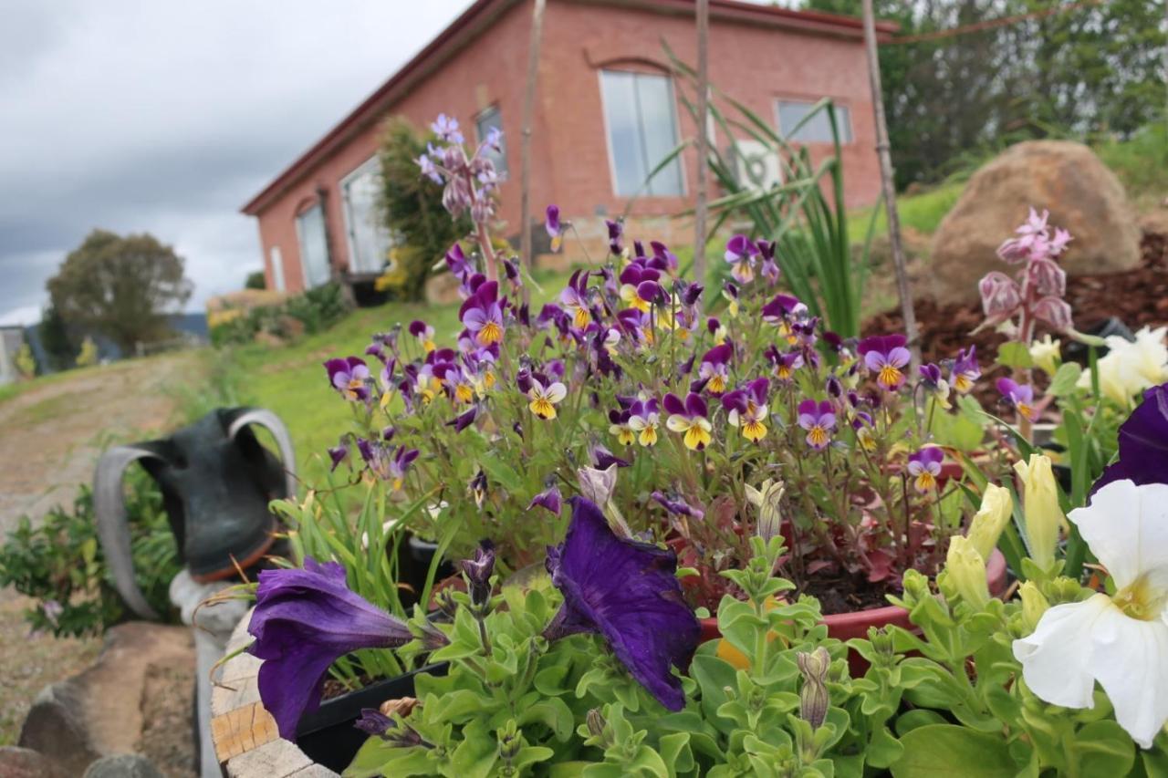 Lilydale Cherry Top Farmstay - Boutique Eco Village מראה חיצוני תמונה