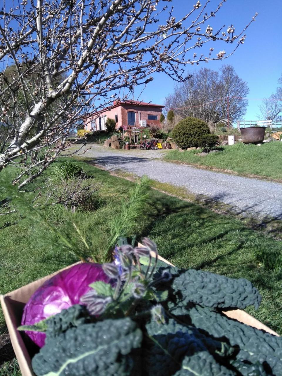 Lilydale Cherry Top Farmstay - Boutique Eco Village מראה חיצוני תמונה