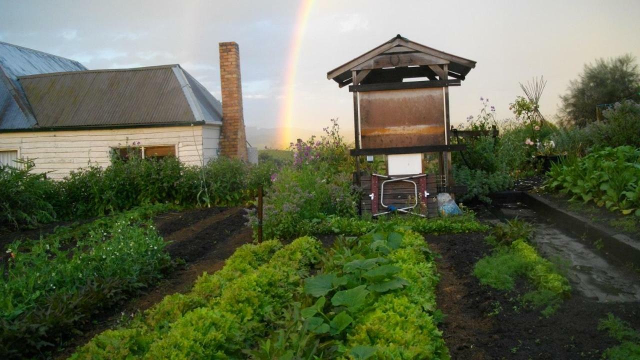 Lilydale Cherry Top Farmstay - Boutique Eco Village מראה חיצוני תמונה