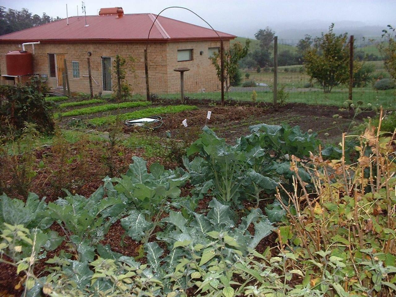 Lilydale Cherry Top Farmstay - Boutique Eco Village מראה חיצוני תמונה