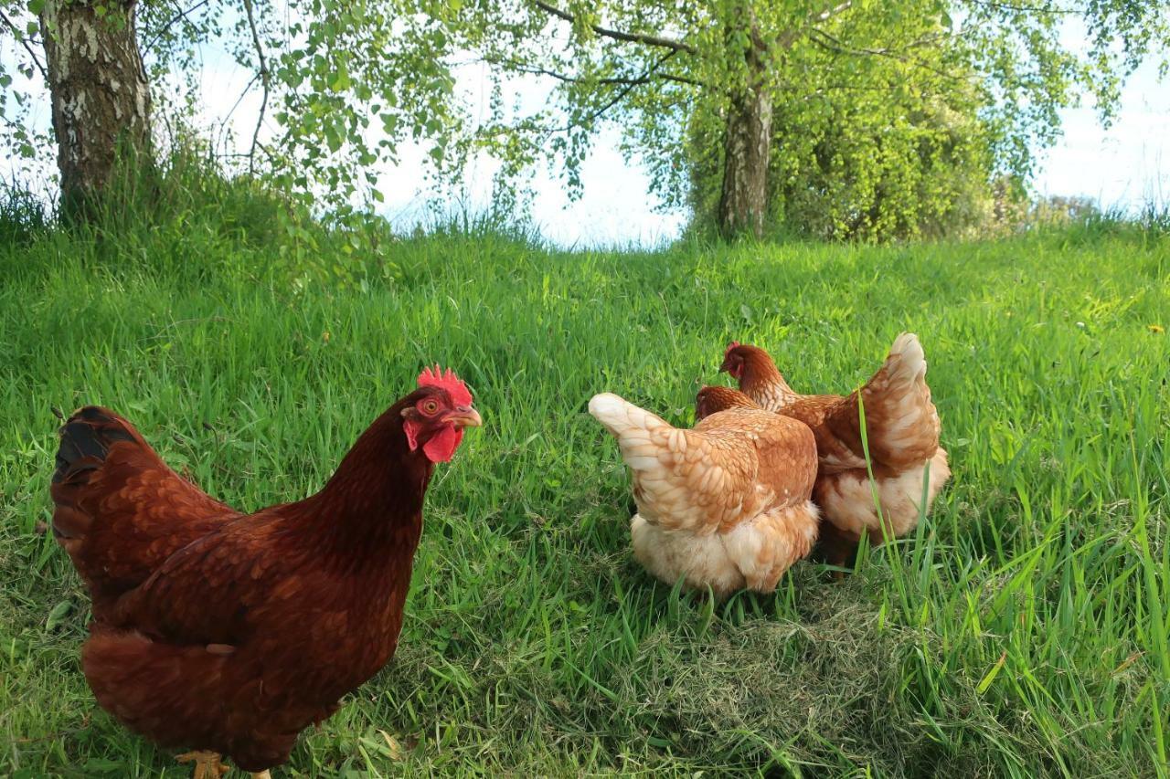 Lilydale Cherry Top Farmstay - Boutique Eco Village מראה חיצוני תמונה