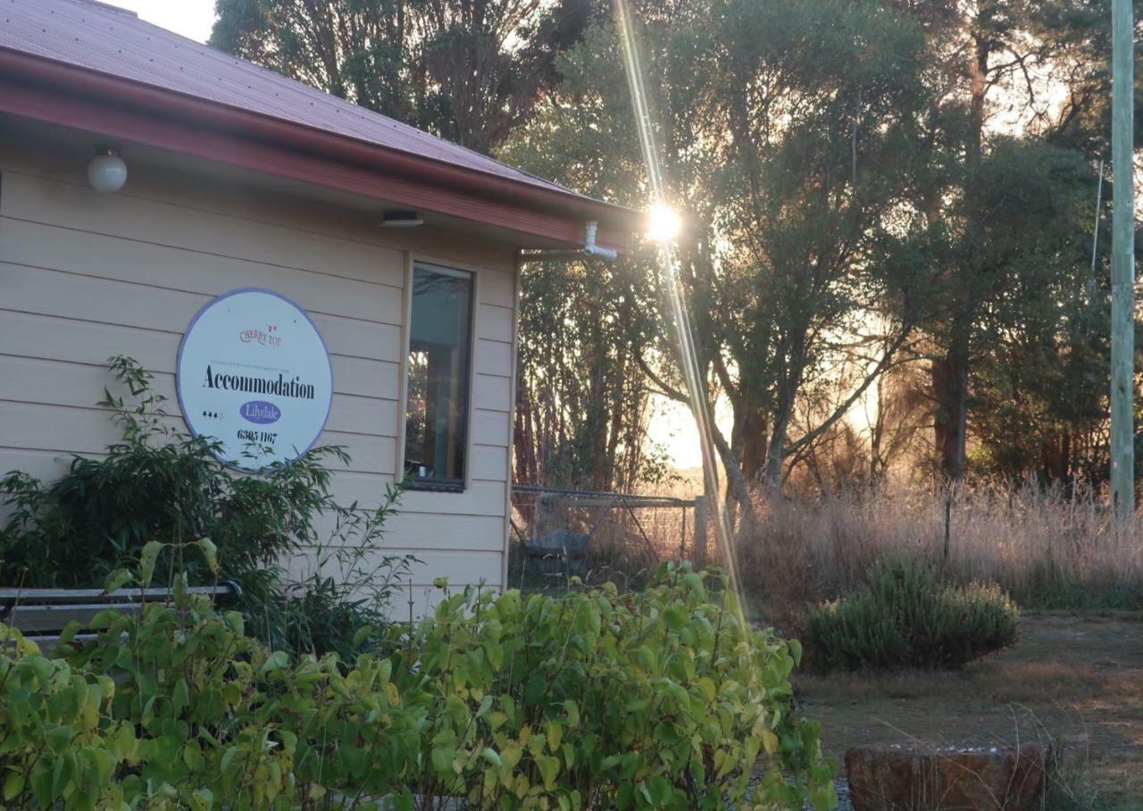 Lilydale Cherry Top Farmstay - Boutique Eco Village מראה חיצוני תמונה